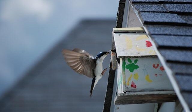 Ecological novelty is the new norm on our planet – Nature.com