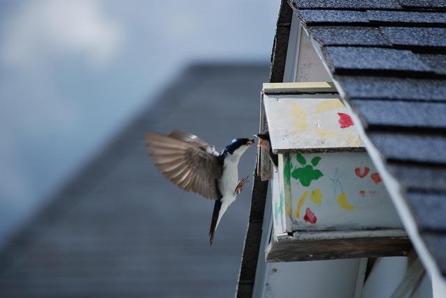 Ecological novelty is the new norm on our planet – Nature.com