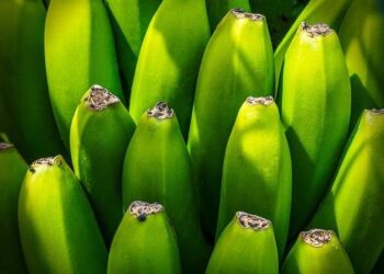 Astronauts’ Health During Space Missions: Nichi BRITE and Neu REFIX Beta Glucans Could Benefit by Neutrophil-to-Lymphocyte Ratio, IL-6 Control, the Immune Biomarkers of Aging and Longevity – Yahoo Finance