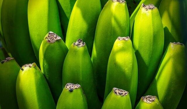 Astronauts’ Health During Space Missions: Nichi BRITE and Neu REFIX Beta Glucans Could Benefit by Neutrophil-to-Lymphocyte Ratio, IL-6 Control, the Immune Biomarkers of Aging and Longevity – Yahoo Finance