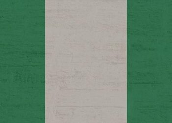 Nigeria seek World Cup redemption, Sudan eye history – FRANCE 24 English