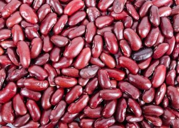 5 lifestyle changes that can help you avoid chronic kidney diseases – The Times of India