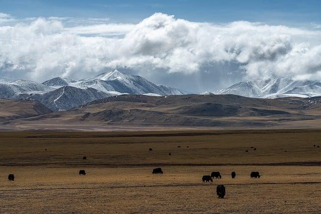 Rapid shifts in grassland communities driven by climate change – Nature.com