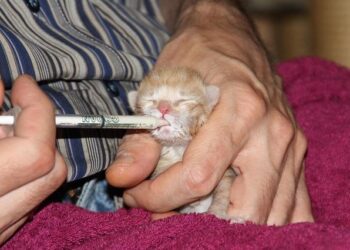 Politics latest: Work and pensions secretary confirms welfare reforms are coming ‘imminently’ – Sky News