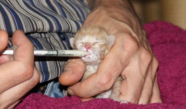 Politics latest: Work and pensions secretary confirms welfare reforms are coming ‘imminently’ – Sky News