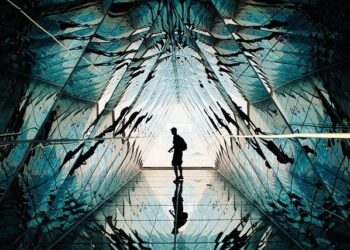 Sunkist invests in packinghouse technology – Produce Blue Book