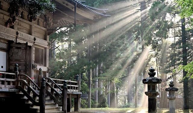 Japan manufacturers’ mood sours in March over Trump tariffs, Chinese economy: Reuters poll – KFGO