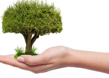 Ecology and Anthropology in Tanzania – Knights Online Sports News