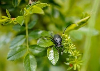 Does the Fed Share the Stock Market’s Worry About the Economy? – The New York Times