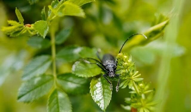 Does the Fed Share the Stock Market’s Worry About the Economy? – The New York Times