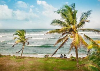 Sri Lanka’s economy grew 5% in 2024 in strong rebound from financial crisis – Reuters