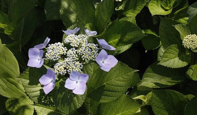 The Extraordinary, Imperiled Science at the End of the Earth – Nautilus