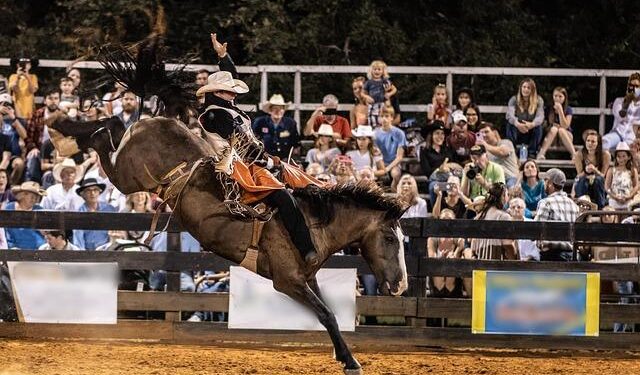 More than just bulls and boots: Rodeo Austin’s $80M impact on local economy – KVUE.com