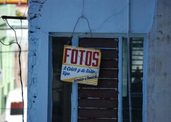 Widespread ecological novelty across the terrestrial biosphere – Nature.com