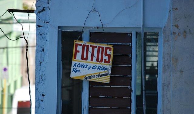 Widespread ecological novelty across the terrestrial biosphere – Nature.com