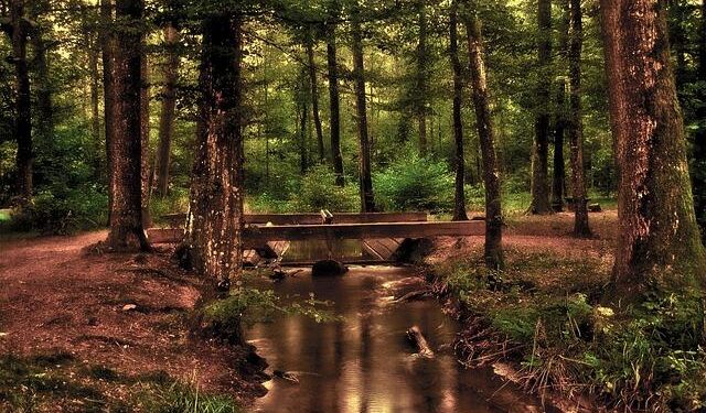 WELLNESS WEDNESDAY: The importance of nutrition, living healthier lifestyle – CBS19.tv KYTX