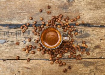 Warner Bros Selling Canceled Looney Tunes Movie – Newsweek