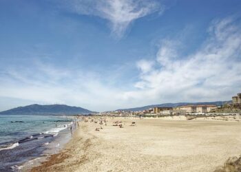 Trump’s Tariffs Have Sown Uncertainty. That Might Be the Point. – The New York Times