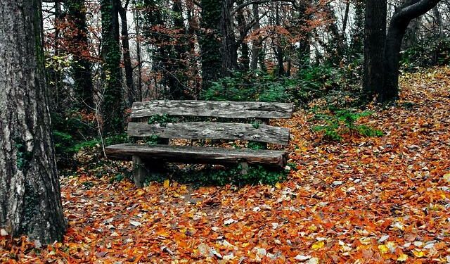 Autopsies can reveal intimate health details. Should they be kept private? – MIT Technology Review