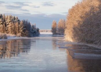 Finland is again ranked the happiest country in the world. The US falls to its lowest-ever position – ABC News