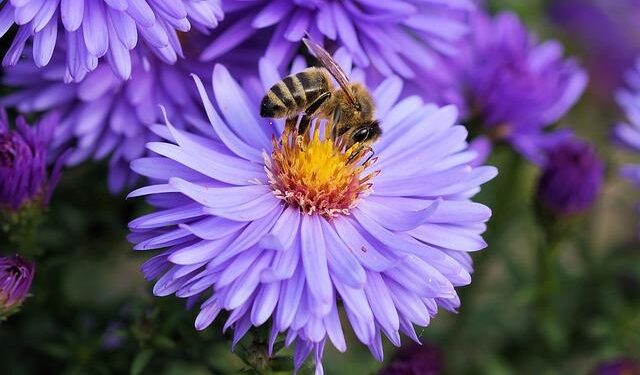 ‘It’s Spring: Let’s Talk Plants’ to bring day of nature-themed activities to Science Central Saturday – 21 Alive News