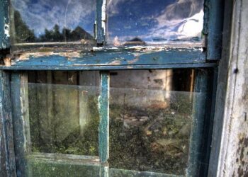 Bed rot: Self-care or health hazard? – The Reveille, LSU’s student newspaper