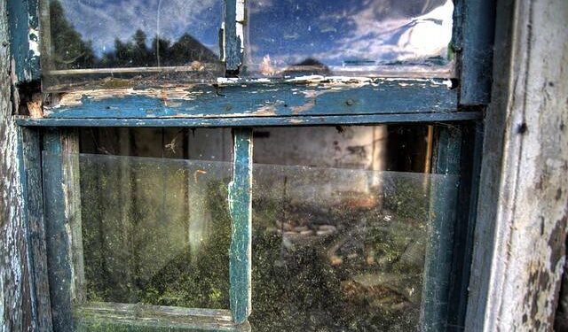 Bed rot: Self-care or health hazard? – The Reveille, LSU’s student newspaper