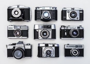 Insights from a century of data reveal global trends in ex situ living plant collections – Nature.com