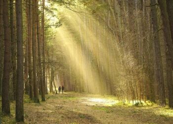 US-Canada: When friends become enemies – Economy and ecology – IPS Journal