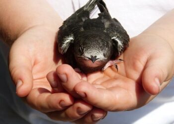 Taylor Swift Shares Public Message to Selena Gomez and Benny Blanco About Their New Album – Yahoo Entertainment