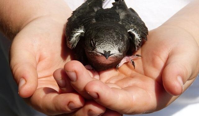 Taylor Swift Shares Public Message to Selena Gomez and Benny Blanco About Their New Album – Yahoo Entertainment