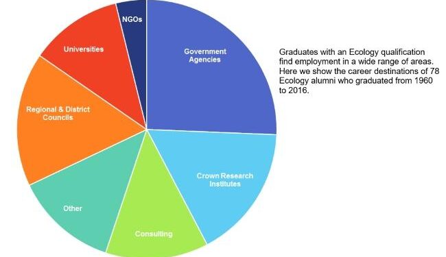 Planning reforms to threaten thousands of ecologists’ jobs, warns sector – Financial Times