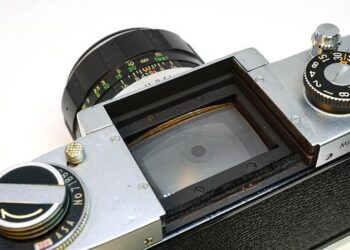 Miranda Melen ’09 receives Ph.D. in Ecology and Evolutionary Biology – Santa Clara University