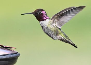 Ecology helps Richland medical center save money and reduce hazardous waste – Washington State Department of Ecology