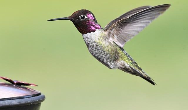 Ecology helps Richland medical center save money and reduce hazardous waste – Washington State Department of Ecology