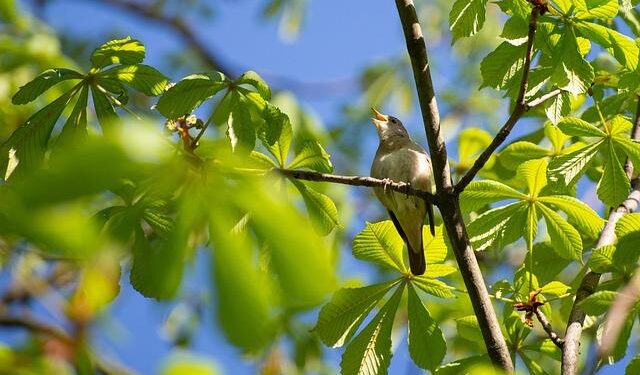 Major US Market Access: Nightingale Health Partners with Citi for Strategic ADR Launch – StockTitan