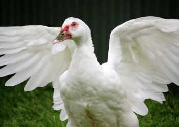 Flutter Entertainment: Updated Reportable Segment Financial Data – GlobeNewswire