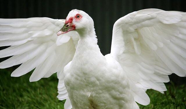 Flutter Entertainment: Updated Reportable Segment Financial Data – GlobeNewswire