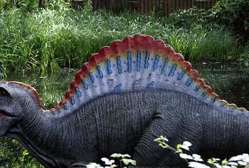 Two-clawed dinosaur species discovered in Gobi Desert – BBC.com