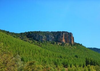 Kennedy Instructs Anti-Vaccine Group to Remove Fake C.D.C. Page – The New York Times