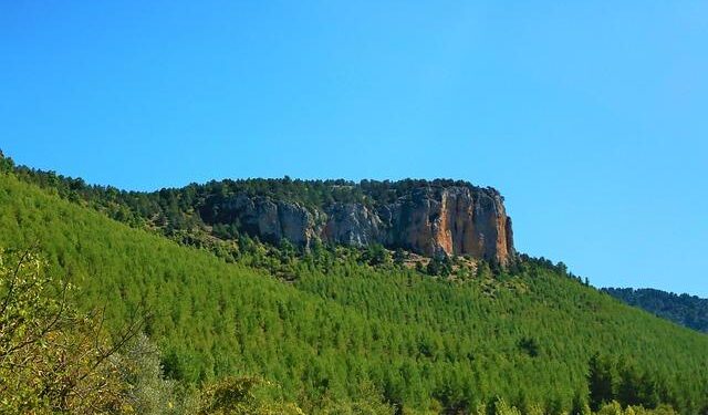 Kennedy Instructs Anti-Vaccine Group to Remove Fake C.D.C. Page – The New York Times