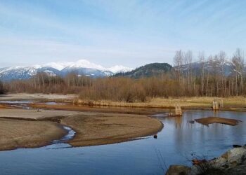 Pemberton multi-concept entertainment venue opens in Downtown Phoenix – Arizona Big Media