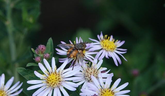 Socio-ecological vulnerability assessment to Sargassum arrivals – Nature.com