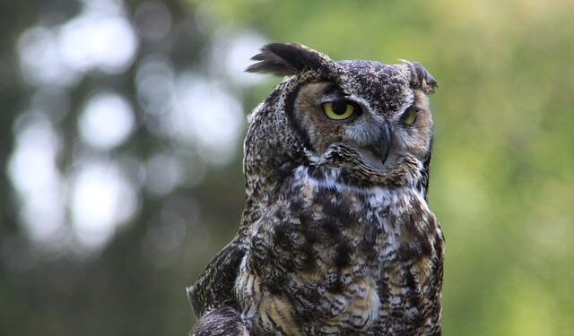 Nooksack adjudication update – Washington State Department of Ecology