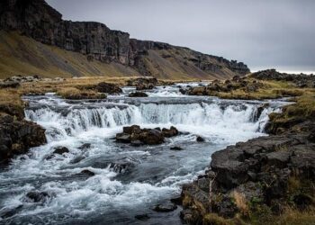 Scholar Stories: Brown Using Movement Science to Overcome Injury, Make Difference – MGoBlue