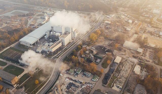 Linking Movement Ecology with Wildlife Management and Conservation – Frontiers