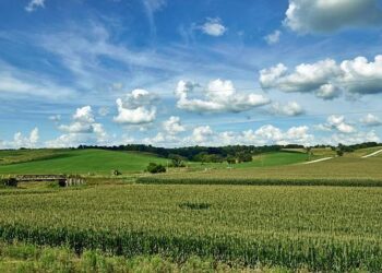 Iowa will finally ban cellphones while driving as House passes bill after years of trying – Des Moines Register