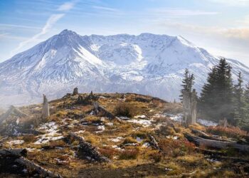 NextCycle Washington teams pioneer circular economy projects – Washington State Department of Ecology