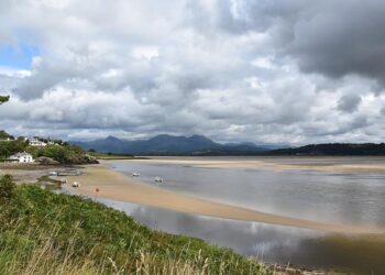 Estuary Art and Ecology Awards 2025 – OurAuckland