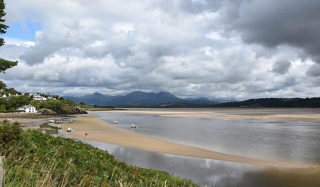 Estuary Art and Ecology Awards 2025 – OurAuckland